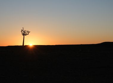 Oplossingsgericht coachen