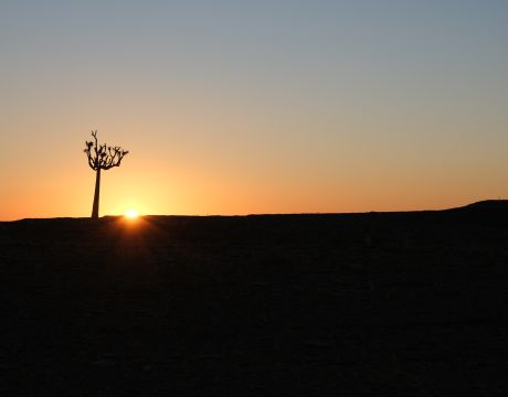 Oplossingsgericht coachen